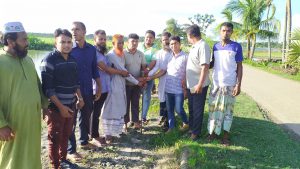 বৈশ্বিক সংকটে পাঁচ করণীয়